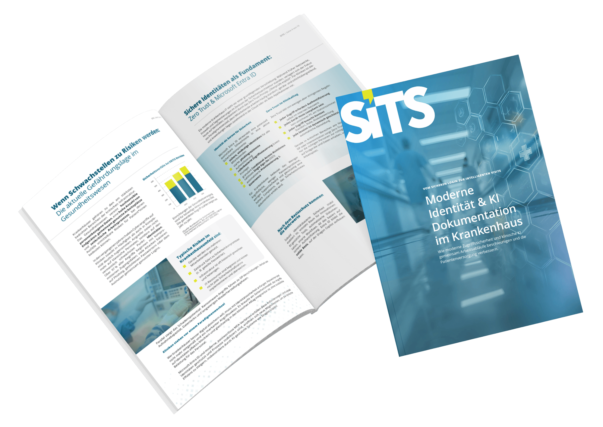 sits-whitepaper-mockup-entra-dragon-de